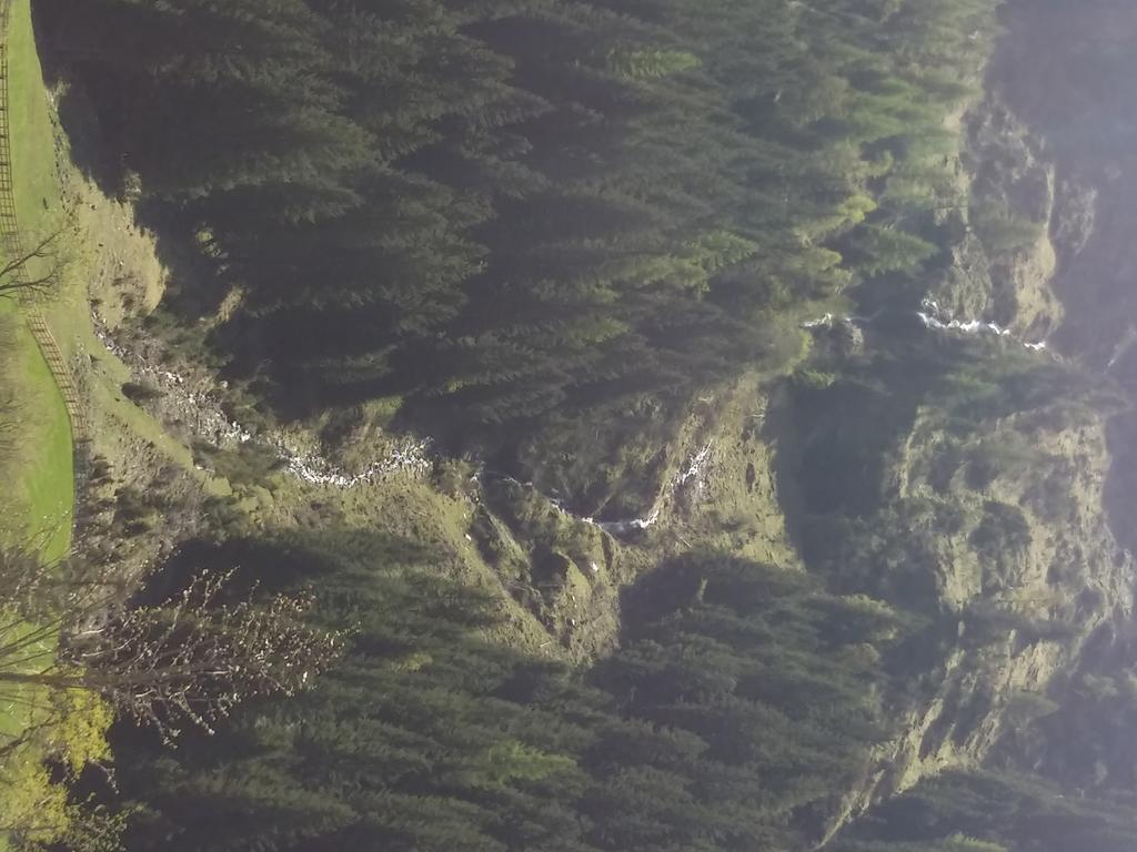 Apart Gschwandthof سانكت ليونارد إم بيتزتال المظهر الخارجي الصورة